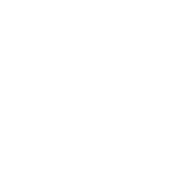 Audit